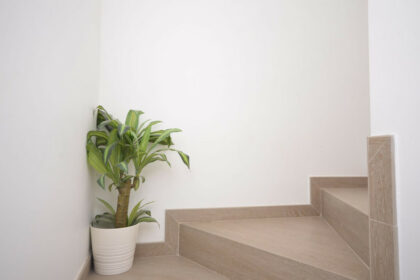 465804b1815539b9c92977d1f301d6c1 - 25