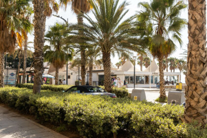 51eeb356e026cd7180cd2083da4b9bab - 35