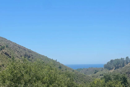 556b65038fd4d43f752b7c25c7cd8e17 - 1