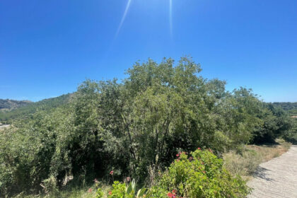 556b65038fd4d43f752b7c25c7cd8e17 - 2