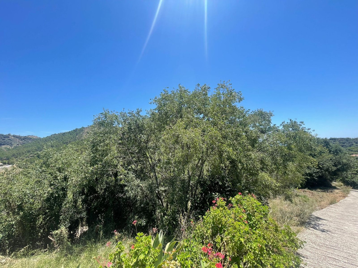 556b65038fd4d43f752b7c25c7cd8e17 - 2