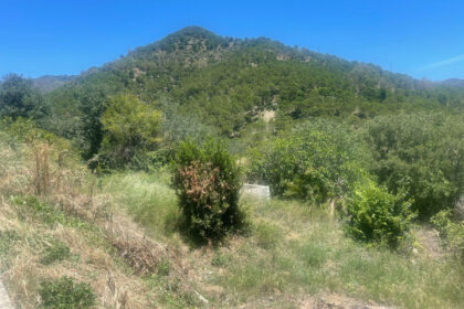 556b65038fd4d43f752b7c25c7cd8e17 - 3