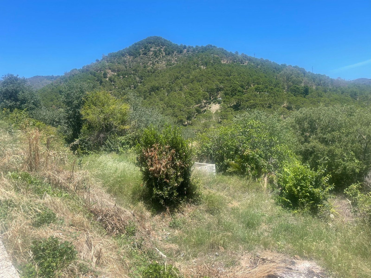 556b65038fd4d43f752b7c25c7cd8e17 - 3