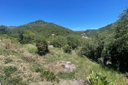 556b65038fd4d43f752b7c25c7cd8e17 - 4