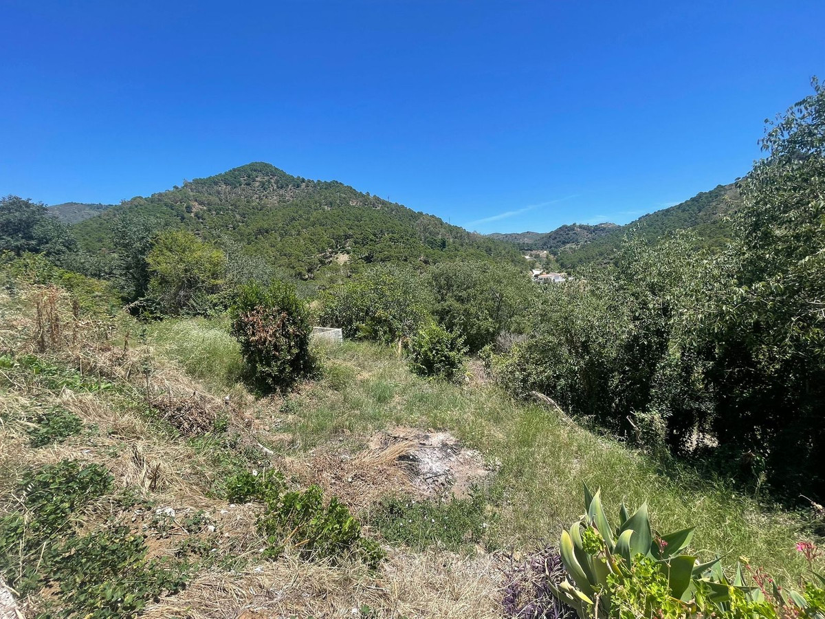 556b65038fd4d43f752b7c25c7cd8e17 - 4