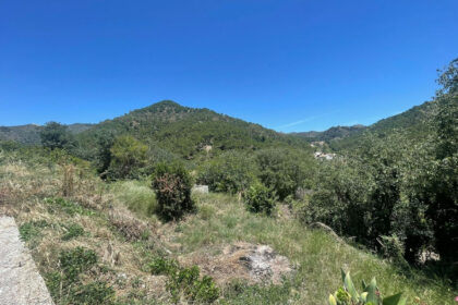 556b65038fd4d43f752b7c25c7cd8e17 - 5