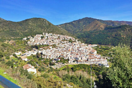 556b65038fd4d43f752b7c25c7cd8e17 - 6