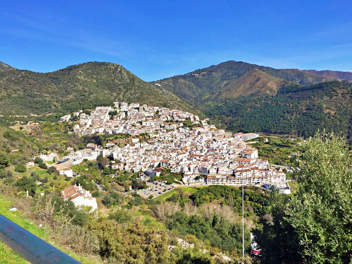 556b65038fd4d43f752b7c25c7cd8e17 - 6