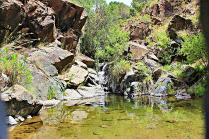 556b65038fd4d43f752b7c25c7cd8e17 - 8