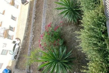 56a689f344376fa1420511764e0088c7 - 19