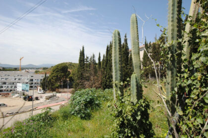 58497eff21d86695ade8b6fd3122e100 - 3