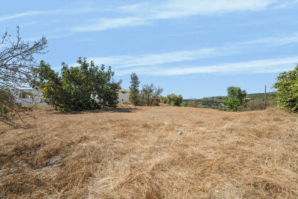 5b5744d0a1a3c65d283c137bad8f2645 - 14