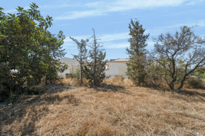 5b5744d0a1a3c65d283c137bad8f2645 - 17