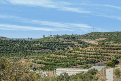 5b5744d0a1a3c65d283c137bad8f2645 - 18