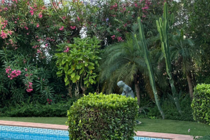 67ee7395960af6dbe4aa6156305bd652 - 23