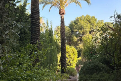 67ee7395960af6dbe4aa6156305bd652 - 24