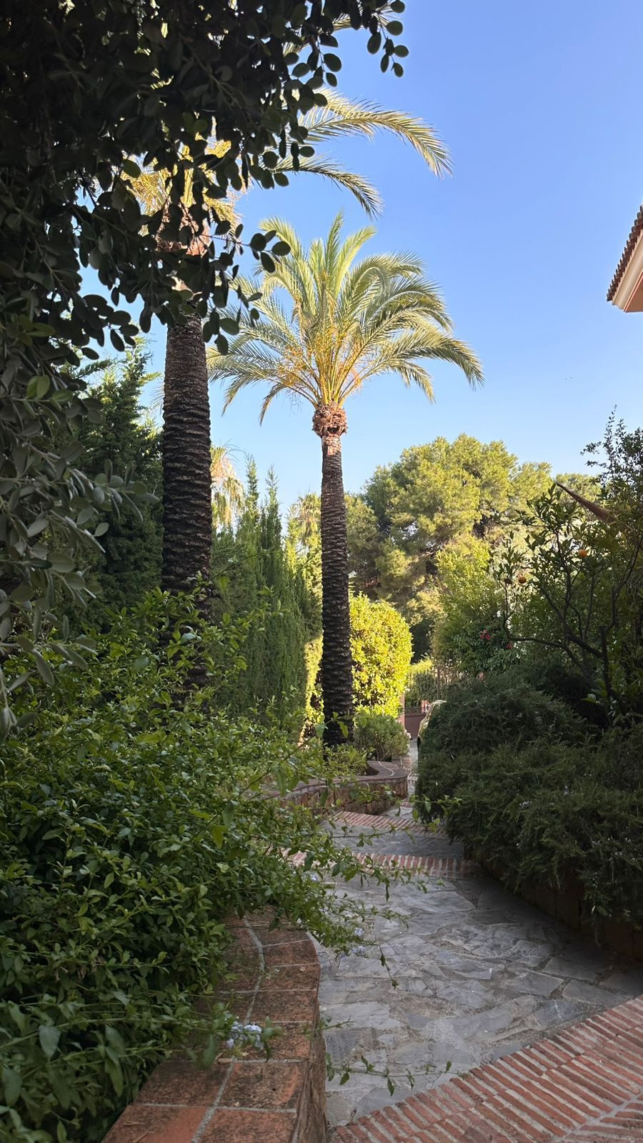 67ee7395960af6dbe4aa6156305bd652 - 24