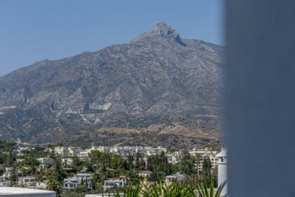 680fd14e42942bfc12e7f48283afdc8e - 46