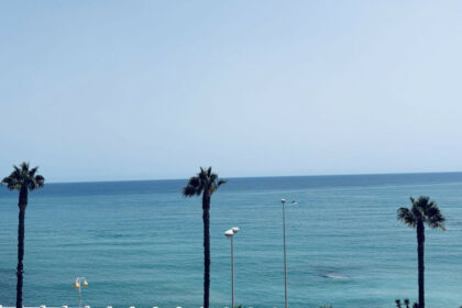 686644cd374e1a9f56e7717eea2f9751 - 1