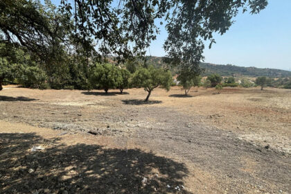 68a186763b658a62ec93a0628a997c46 - 6