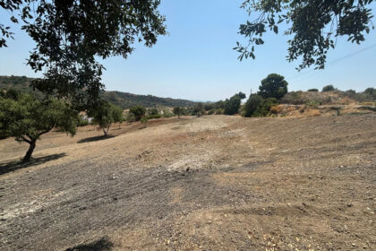 68a186763b658a62ec93a0628a997c46 - 7