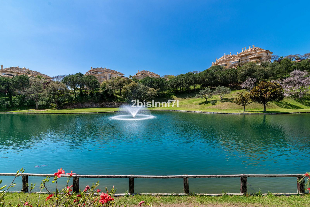 69257bf605885b6f8cdd64d95329b326 - 30