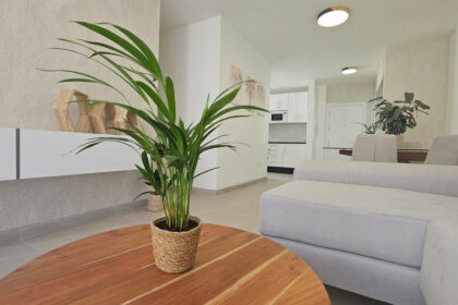 6c4ad1d2f5f4331a05e1c73c65a02c8e - 27