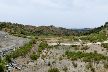 6d468eded8e27b8e4ba8d02121b2ec1b - 18