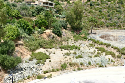 6d468eded8e27b8e4ba8d02121b2ec1b - 21