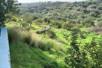 70de29534c0e6663b3fef71d93e44174 - 12