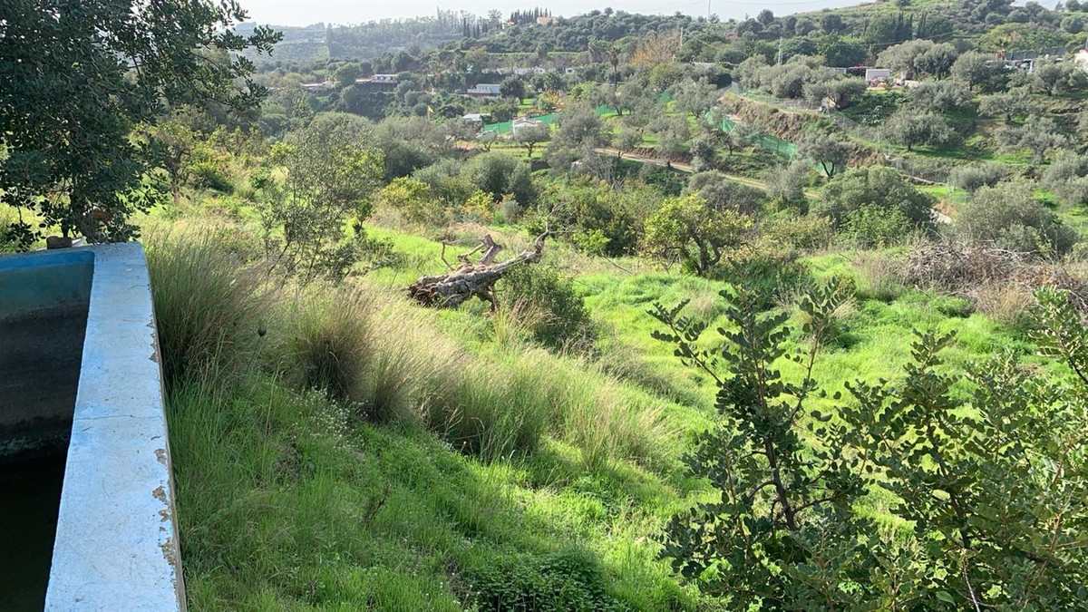 70de29534c0e6663b3fef71d93e44174 - 12