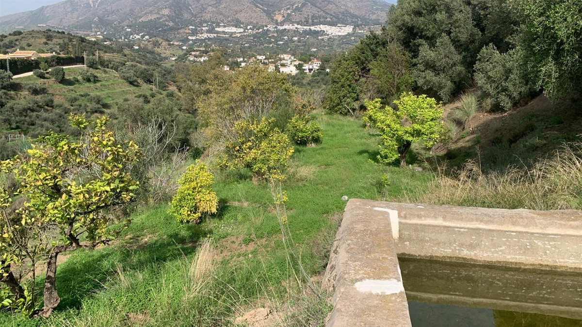 70de29534c0e6663b3fef71d93e44174 - 15