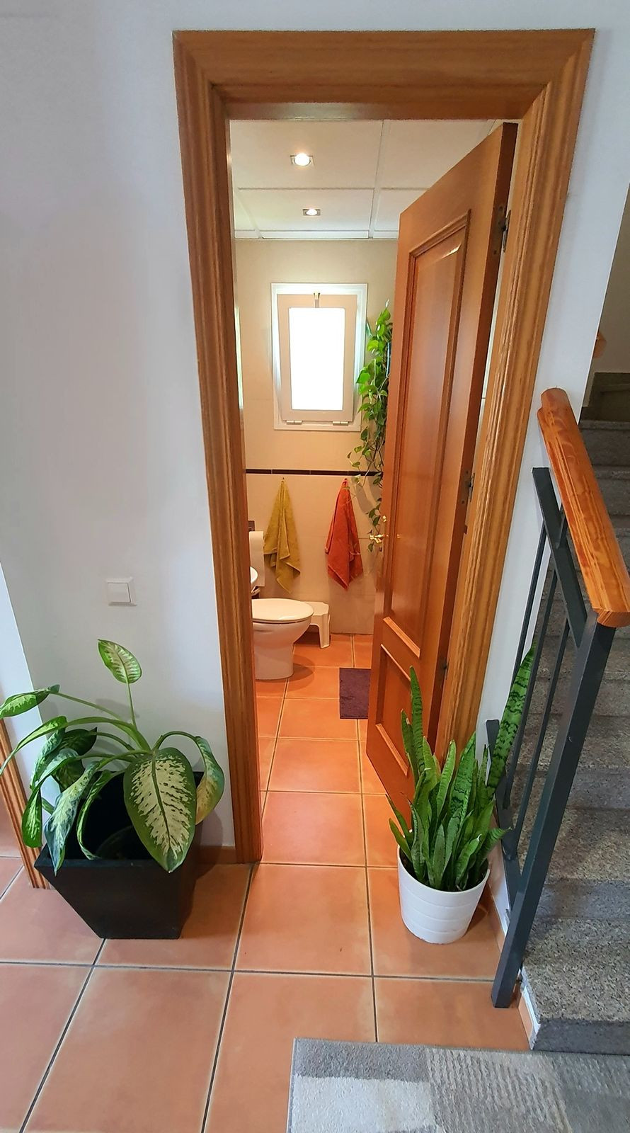 70f4e09bebcb3621d969789bb09476f1 - 10