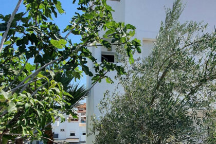 70f4e09bebcb3621d969789bb09476f1 - 4