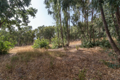 775d26ca355048a1807245a41b57dafe - 10