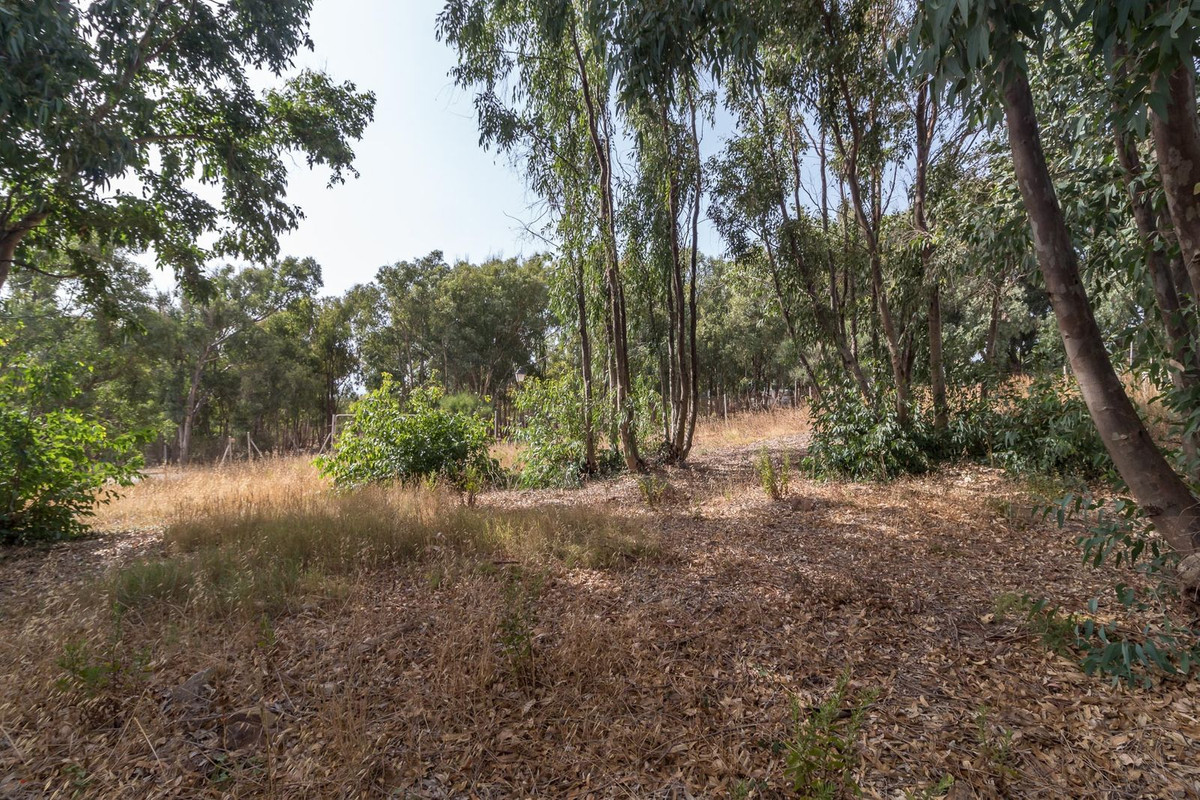 775d26ca355048a1807245a41b57dafe - 10