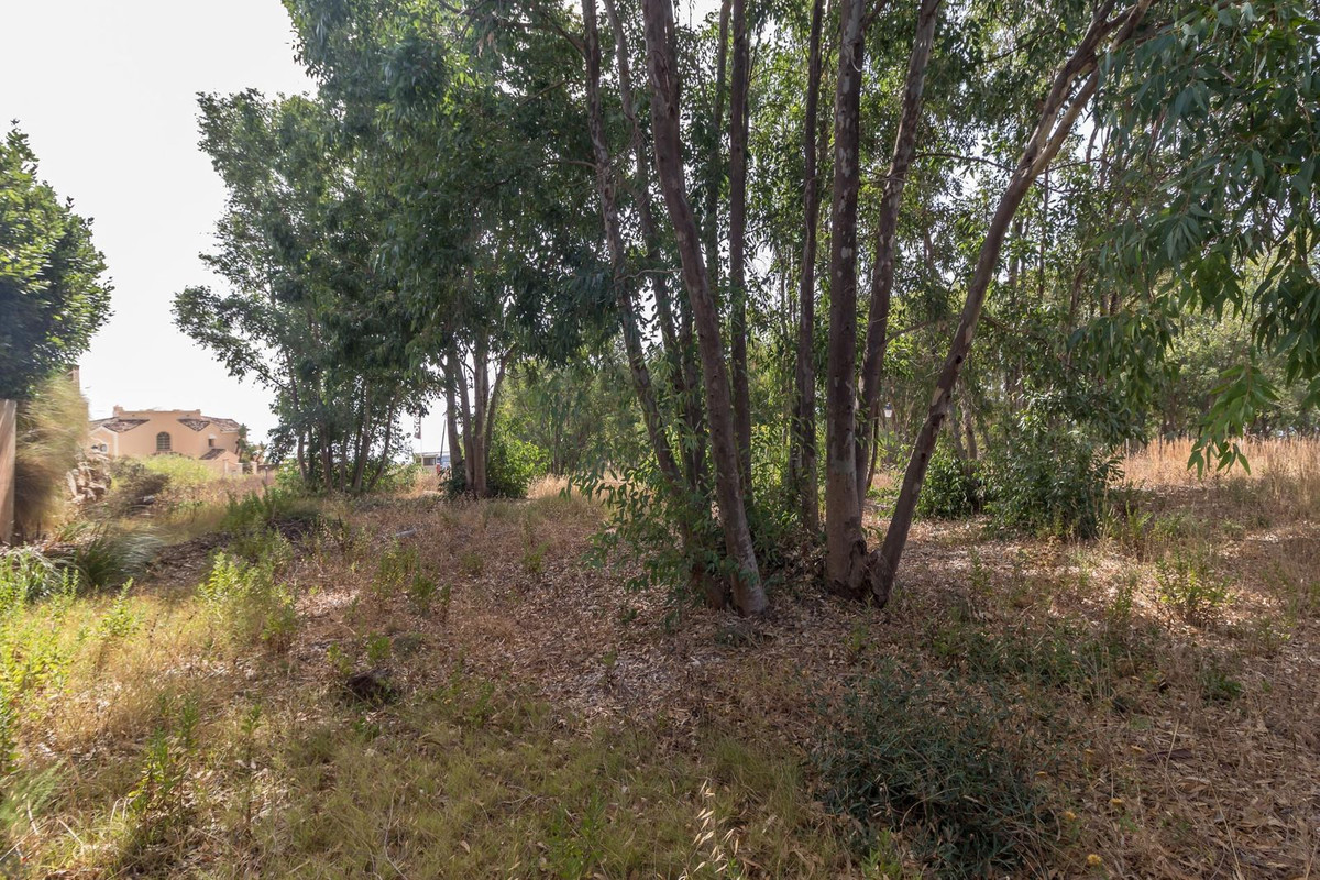 775d26ca355048a1807245a41b57dafe - 7