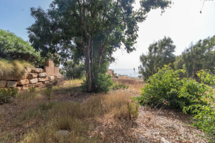 775d26ca355048a1807245a41b57dafe - 8