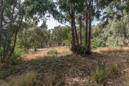 775d26ca355048a1807245a41b57dafe - 9