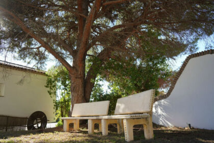 7aa8e68c17ccddcecf122b4908a058ec - 15