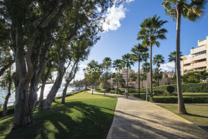 8342141d147e1ca0596cf8f3ec09a06e - 29