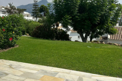 84aebfe42818e785e4235cd9c6302a33 - 12