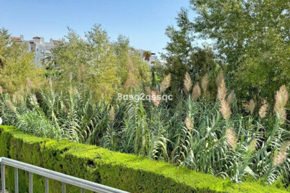 87553177109c54c22fc40202b6959b03 - 11