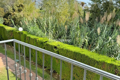 87553177109c54c22fc40202b6959b03 - 13