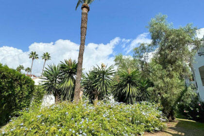 87553177109c54c22fc40202b6959b03 - 14