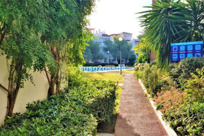 87553177109c54c22fc40202b6959b03 - 22