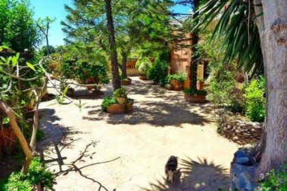 8798350d01d839fae4987f383e0f939c - 3