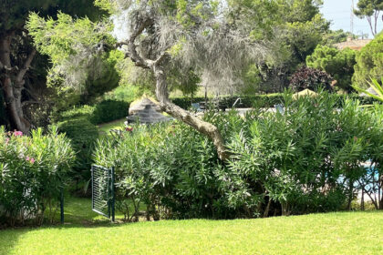 8b62a1d9b414b62f53bbb64a4547acc9 - 11