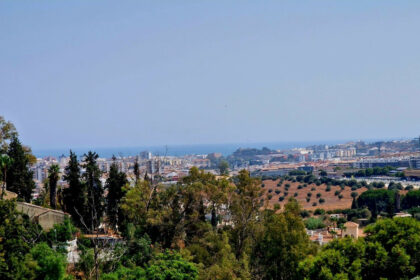 8fe3d40834b4e4acc0f6f9ed8b3ae60b - 1