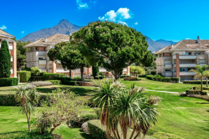 90a64dc1c8f08277786392224fe80816 - 28